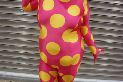 dsc08359
