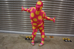dsc08362
