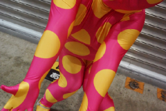 dsc08386