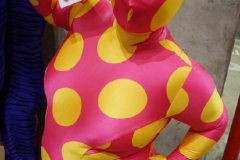 dsc08392