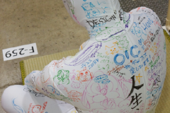 dsc08672